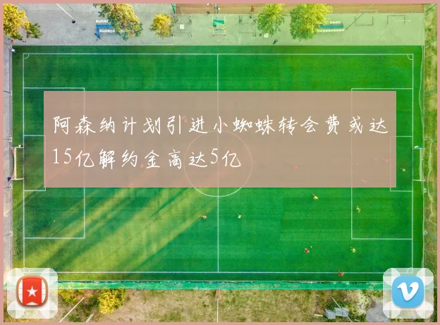 阿森纳计划引进小蜘蛛转会费或达15亿解约金高达5亿