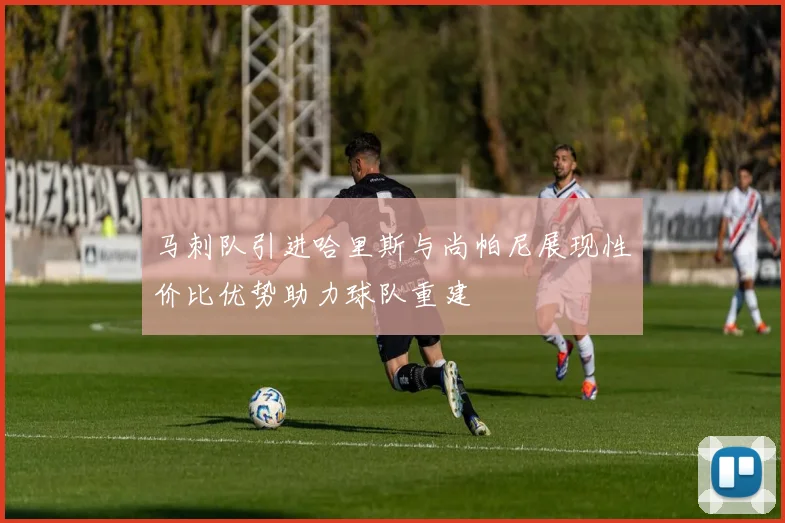 马刺队引进哈里斯与尚帕尼展现性价比优势助力球队重建