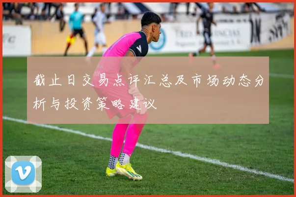 截止日交易点评汇总及市场动态分析与投资策略建议